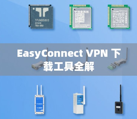 EasyConnect VPN 下载工具全解