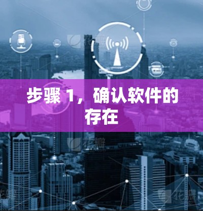步骤 1，确认软件的存在